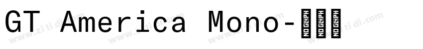 GT America Mono字体转换